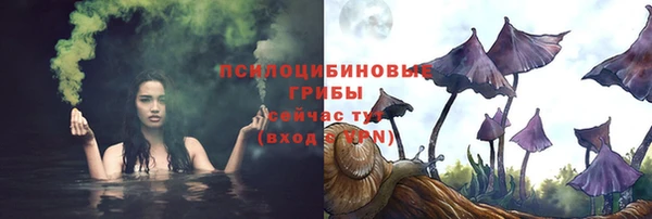 гидра Михайлов
