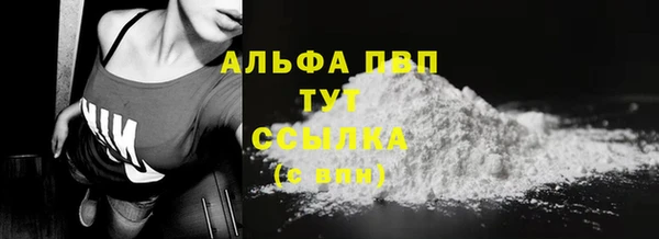эйфоретик Анжеро-Судженск