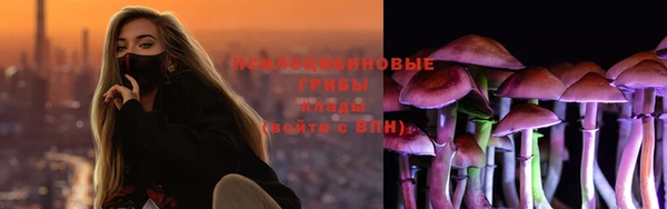 прущий лед Михайловск