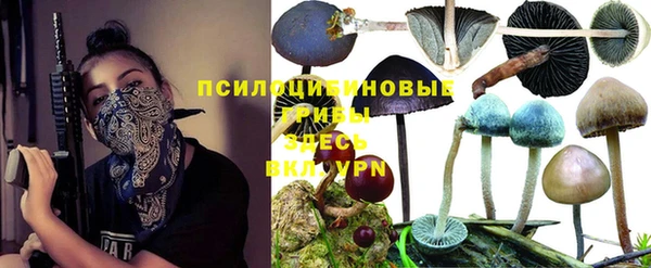 mdpv Михайловка