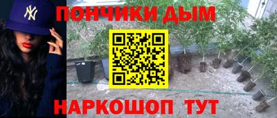 гидропоника Ирбит