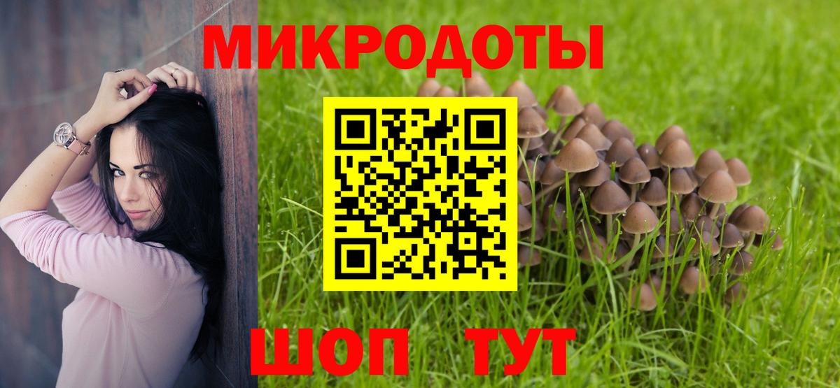Галлюциногенные грибы мухоморы Тайшет