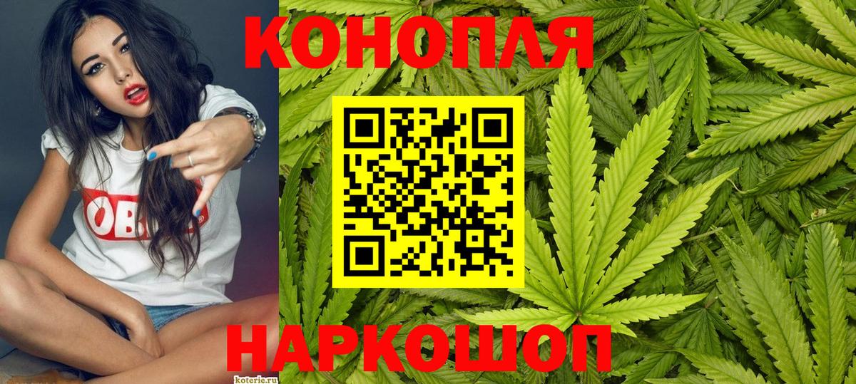 Тайшет  Марихуана план  Бошки марихуана OG Kush  Вход с VPN  Бошки марихуана планчик 
